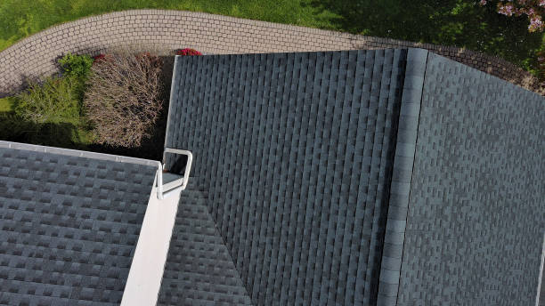 Best Chimney Flashing Repair  in Sylvania, AL