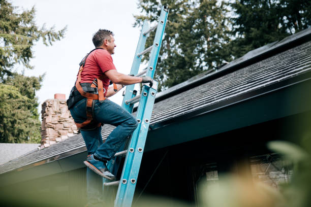 Best 4 Ply Roofing  in Sylvania, AL
