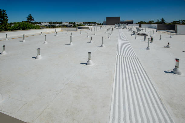 Best Sheet Metal Roofing  in Sylvania, AL